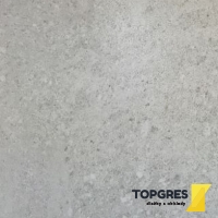 TOPGRES Dlažba Stone Gris matná 60x60 cm 